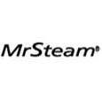 mr. steam logo